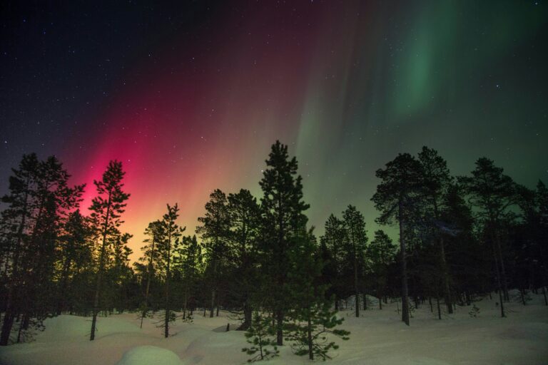 The Mesmerizing Night Aurora Sky: A Natural Wonder to Behold