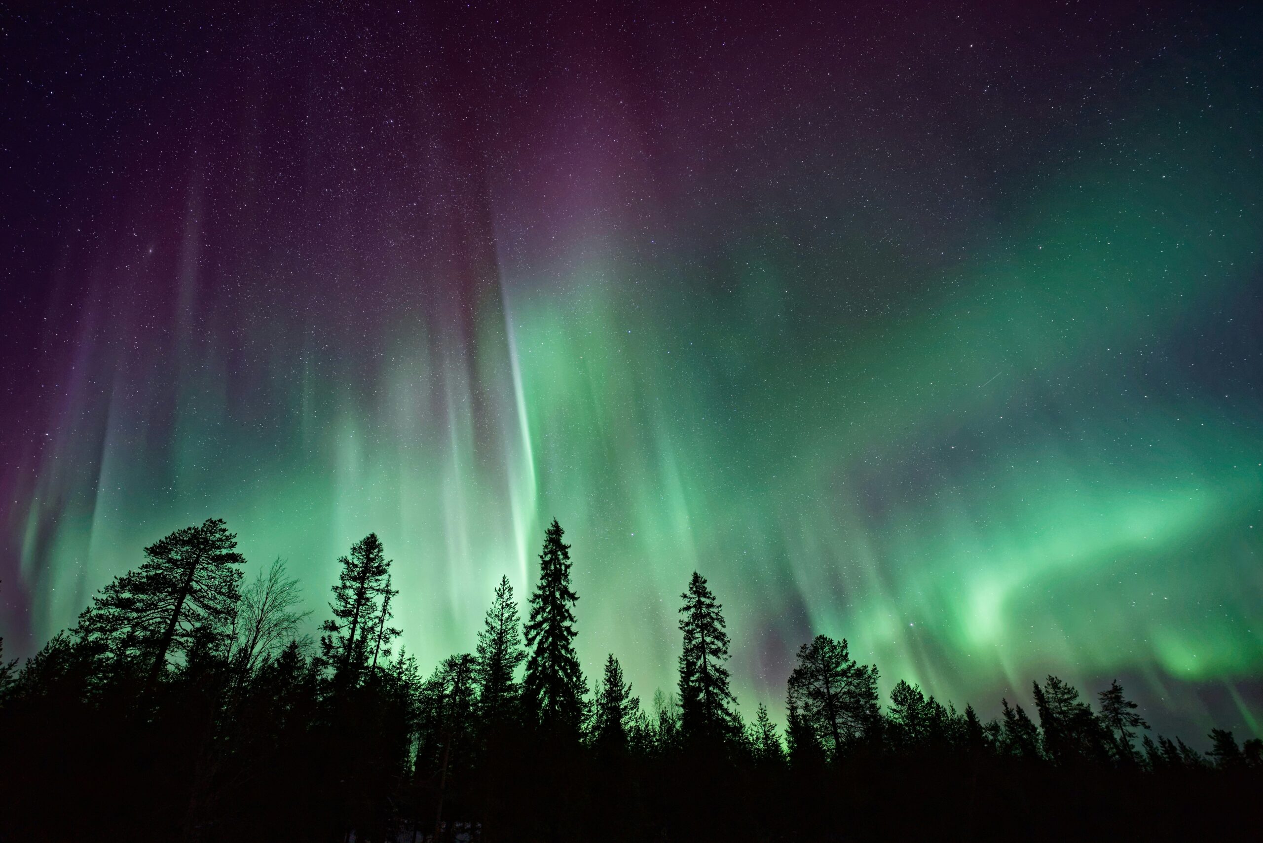 NASA to Launch Rockets to Study Aurora Borealis 